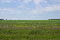 1s640x480